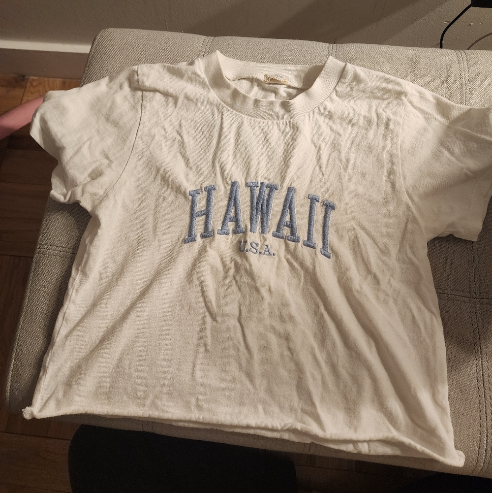 John Galt/Brandy Melville By Pacsun Hawaii Cropped T-Shirt